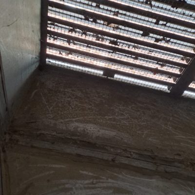 Hospital Clean